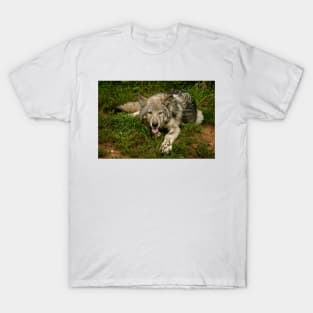 Timber Wolf T-Shirt